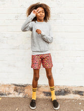 Load image into Gallery viewer, Calico Crab - Salmon